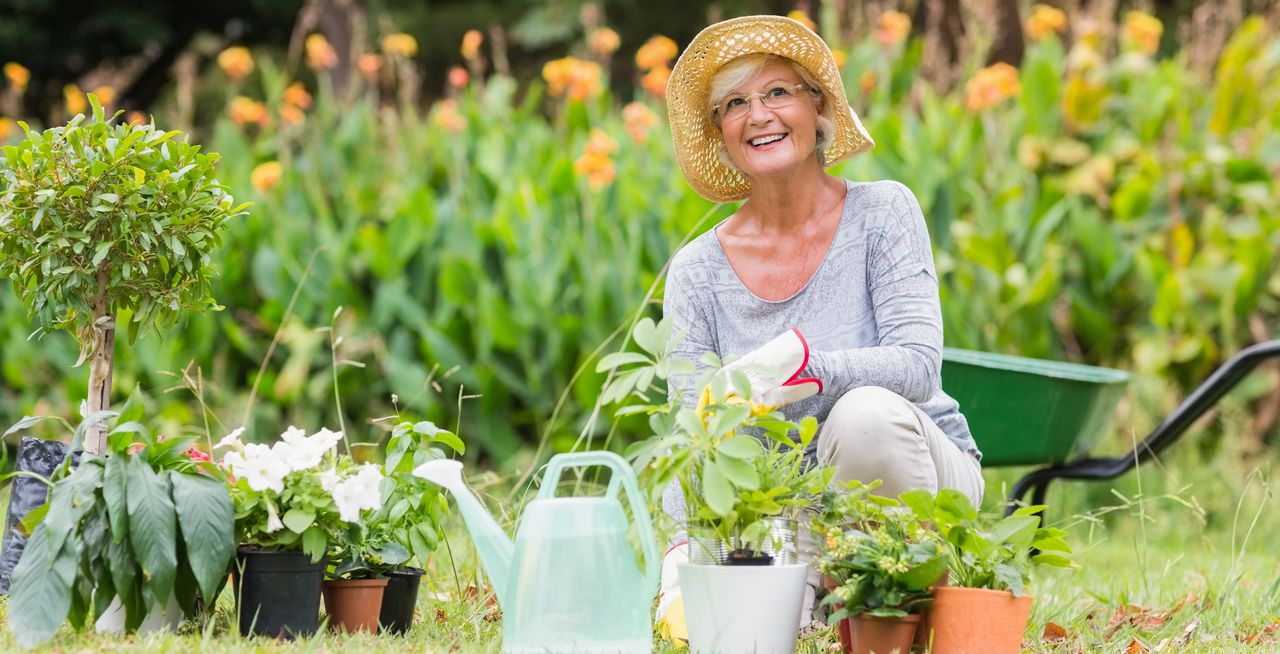 Les bienfaits thérapeutiques des jardins thérapeutiques en EHPAD : une immersion naturelle pour le bien-être des résidents