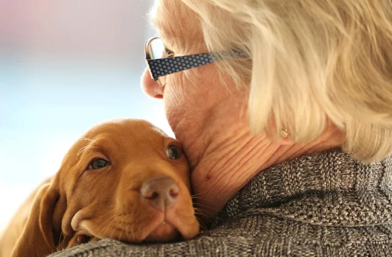 Les animaux de compagnie dans la vie en EHPAD