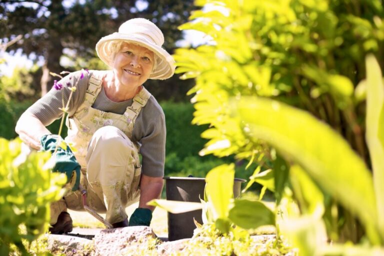 Jardins Sensoriels sur la Santé des Seniors