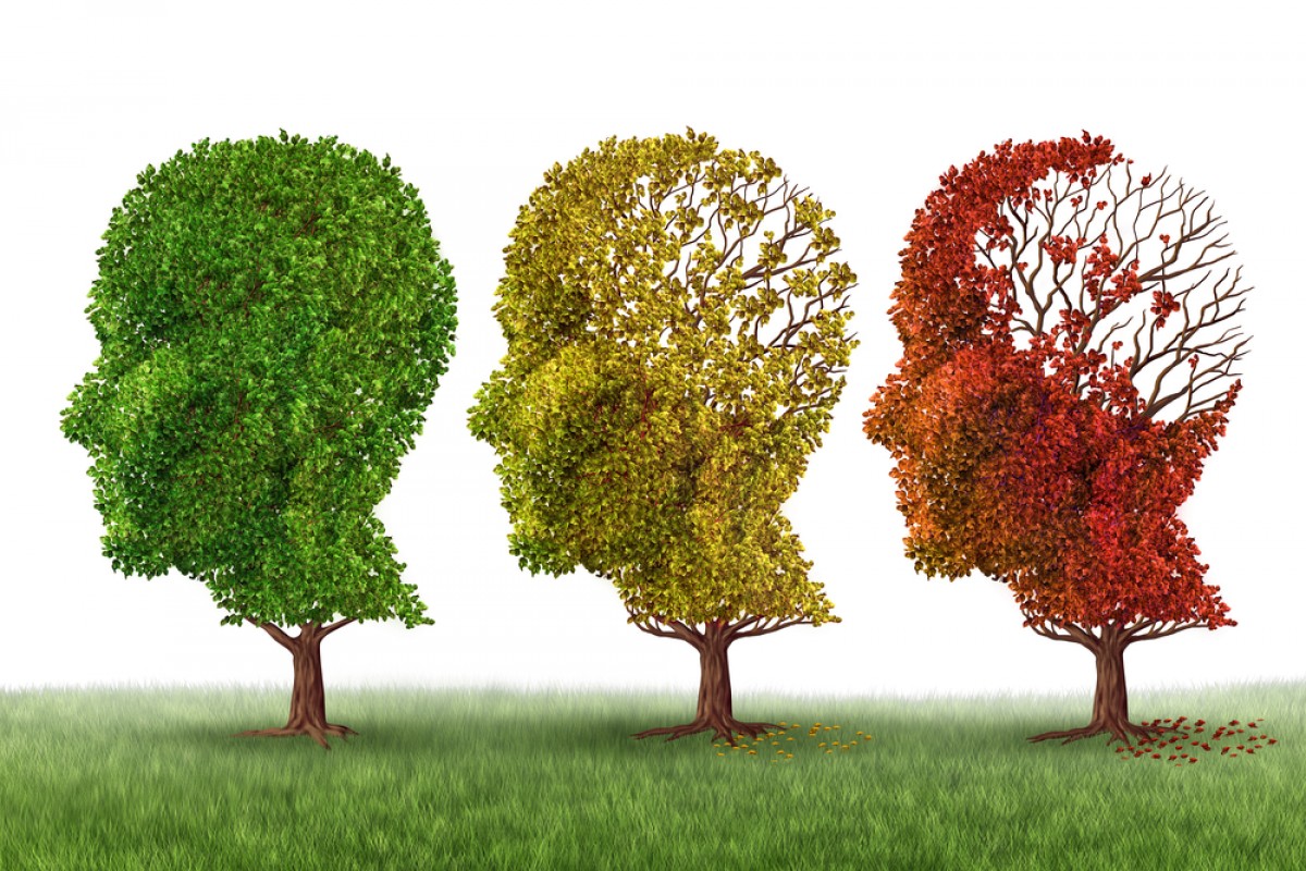 Unités sécurisées Alzheimer : un espace dédié pour le bien-être des personnes désorientées