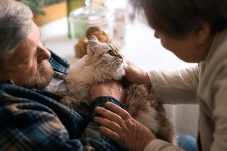 Impact-des-animaux-en-EHPAD