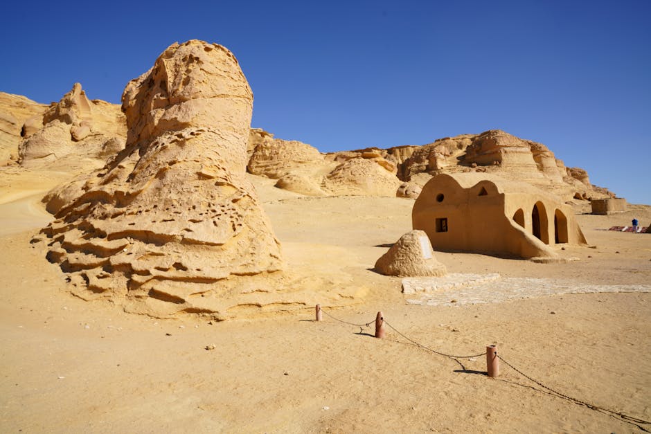 Résidence Senior 4 Étoiles en Tunisie : Luxe, Qualité et Économie