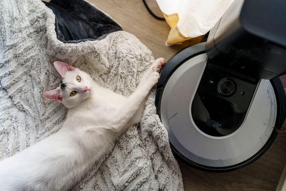 Chat Robot en EHPAD : Bienfaits pour Seniors en Tunisie