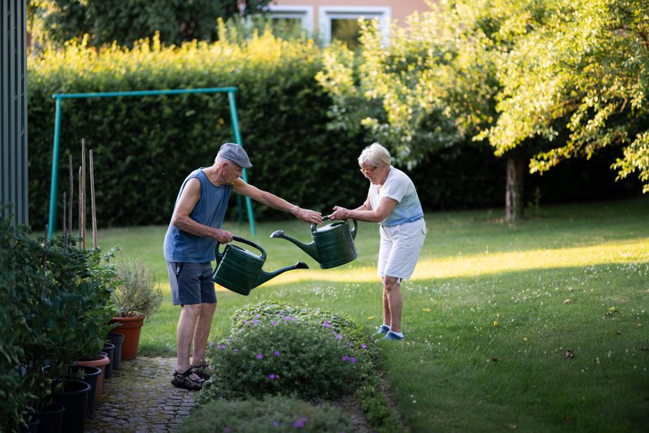 Prévenir la dénutrition des seniors en été : guide complet