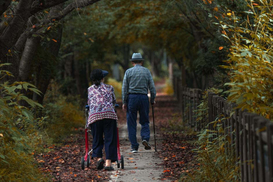 Dénutrition seniors en automne : signaux d&rsquo;alerte à surveiller